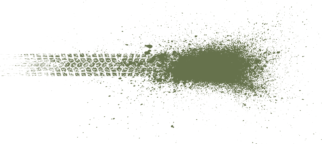 A green tree with a white background. Description generated by AI