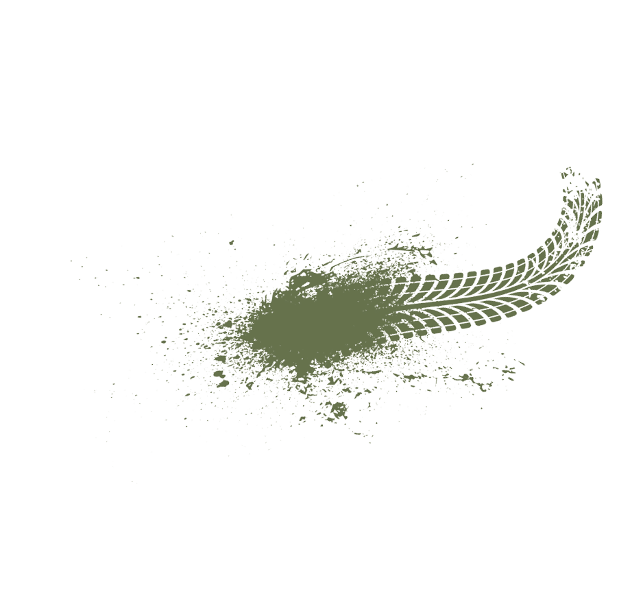 A green leaf with a white background. Description generated by AI