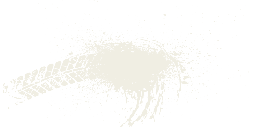 A bird feather on a white background. Description generated by AI
