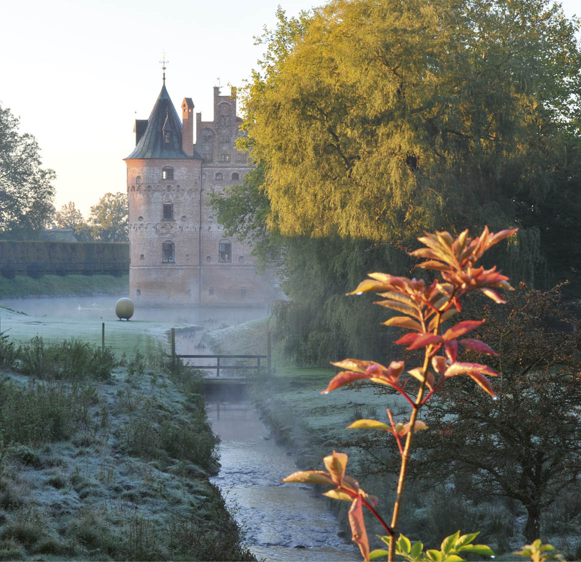 A castle with a moat and a red bush in front of it. Description generated by AI