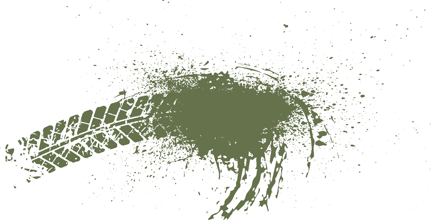A green leaf with a brown spot on it. Description generated by AI