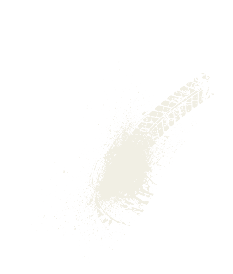 A bird feather on a white background. Description generated by AI