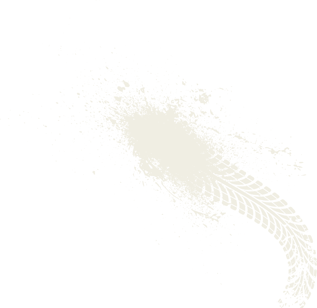 A white and brown leaf. Description generated by AI