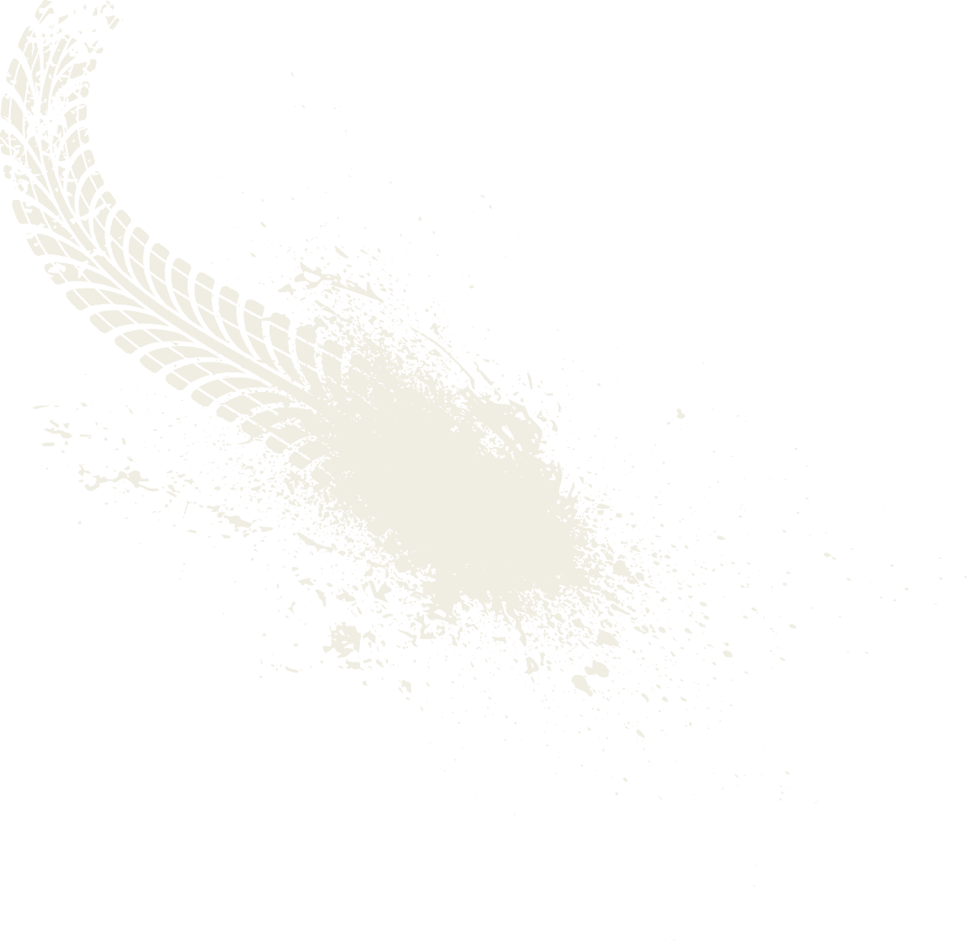 A white and brown leaf. Description generated by AI