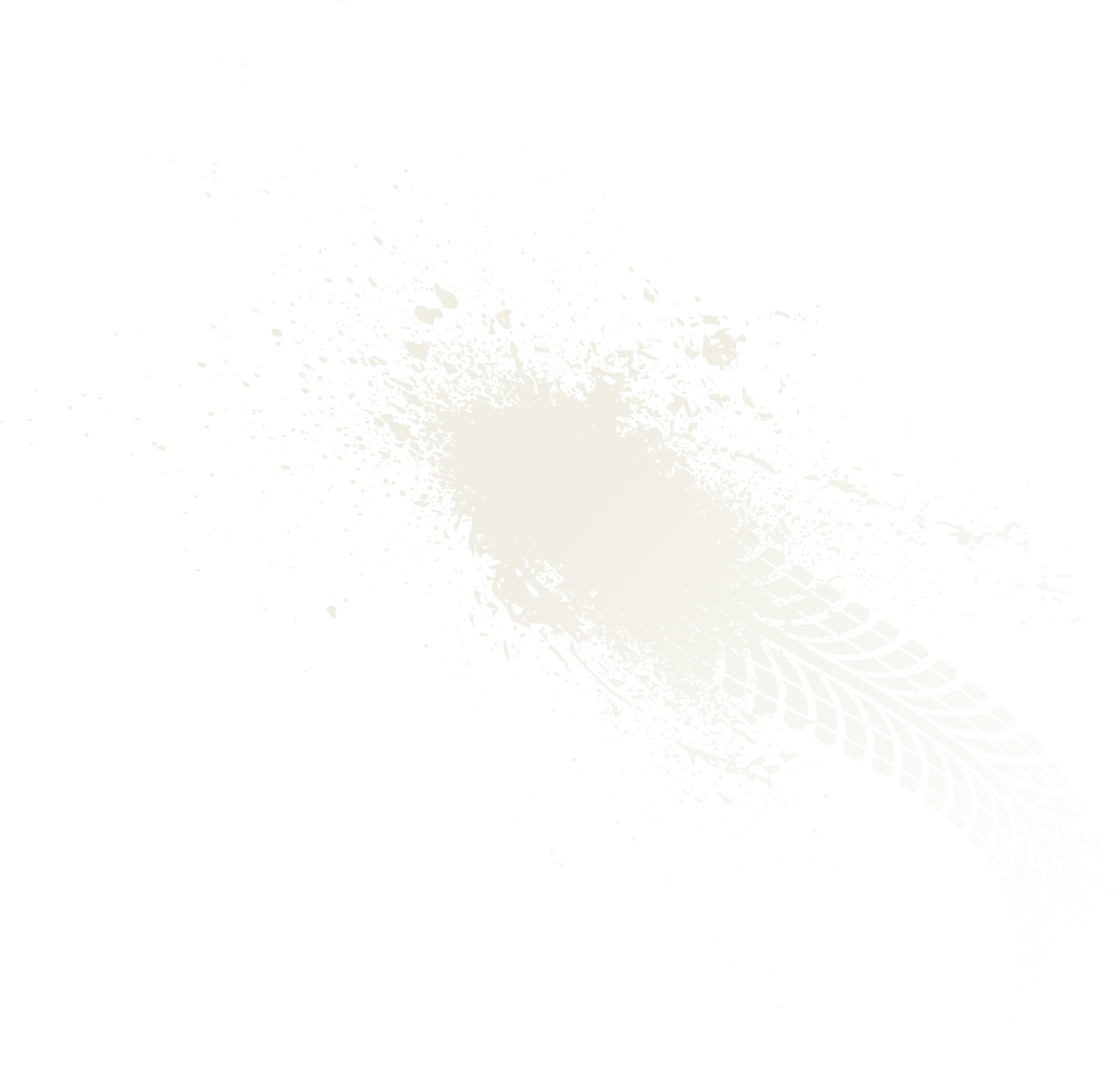 A white and brown leaf. Description generated by AI